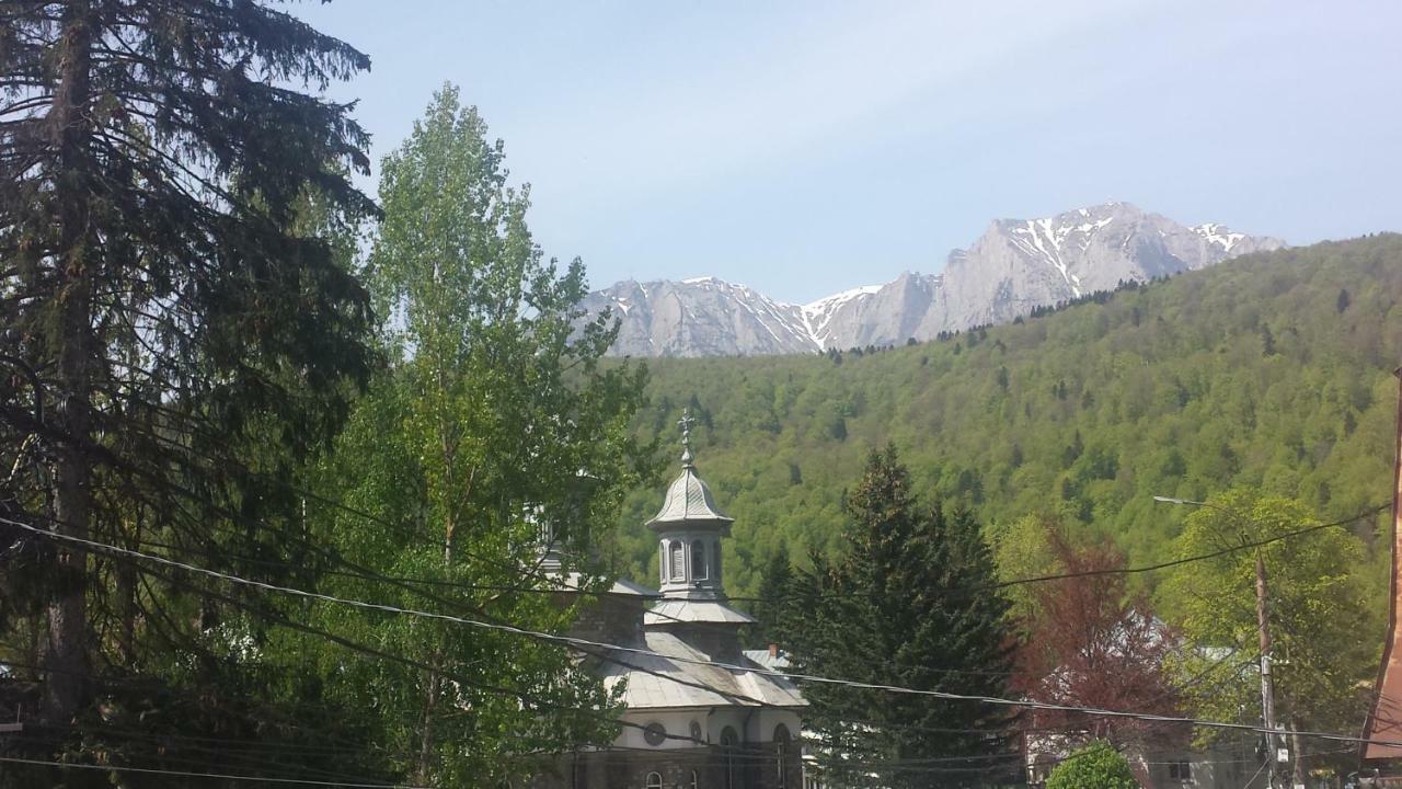 Casa Centrala Azuga Dış mekan fotoğraf